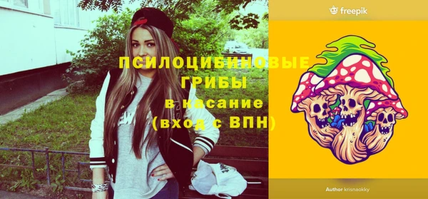 гидра Арсеньев