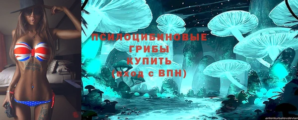 спайс Баксан