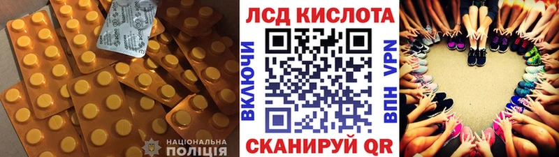 blacksprut онион  Гаврилов-Ям  Лсд 25 экстази кислота 