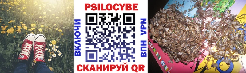 наркошоп  Гаврилов-Ям  Галлюциногенные грибы Magic Shrooms 